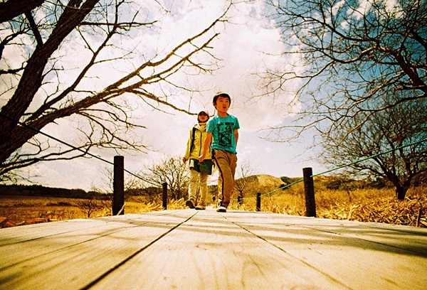八島ヶ原湿原を歩く