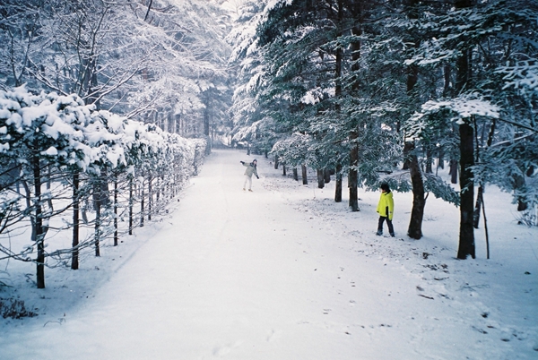 2013年1月14日軽井沢